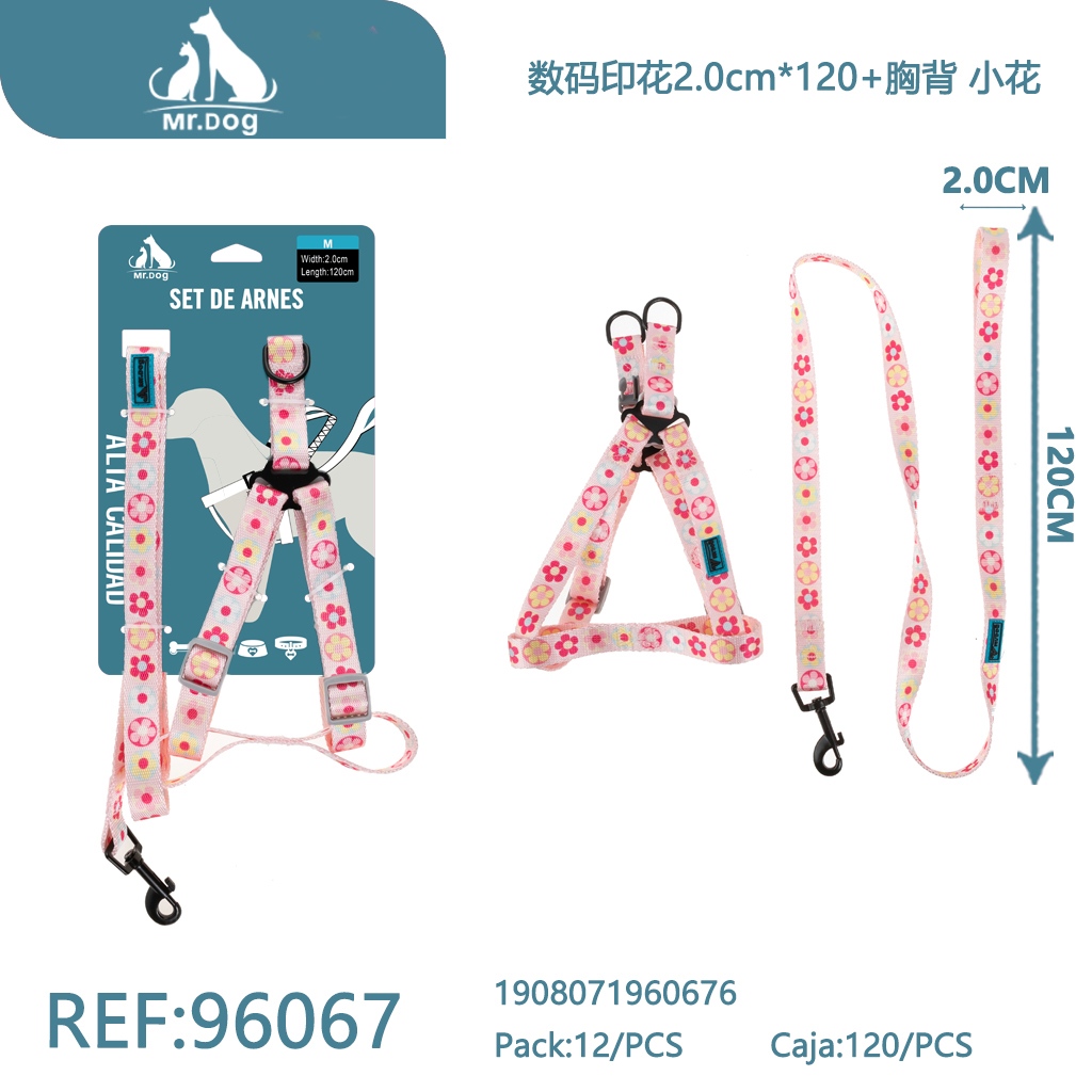 [Mr-96067] SET DE ARNES